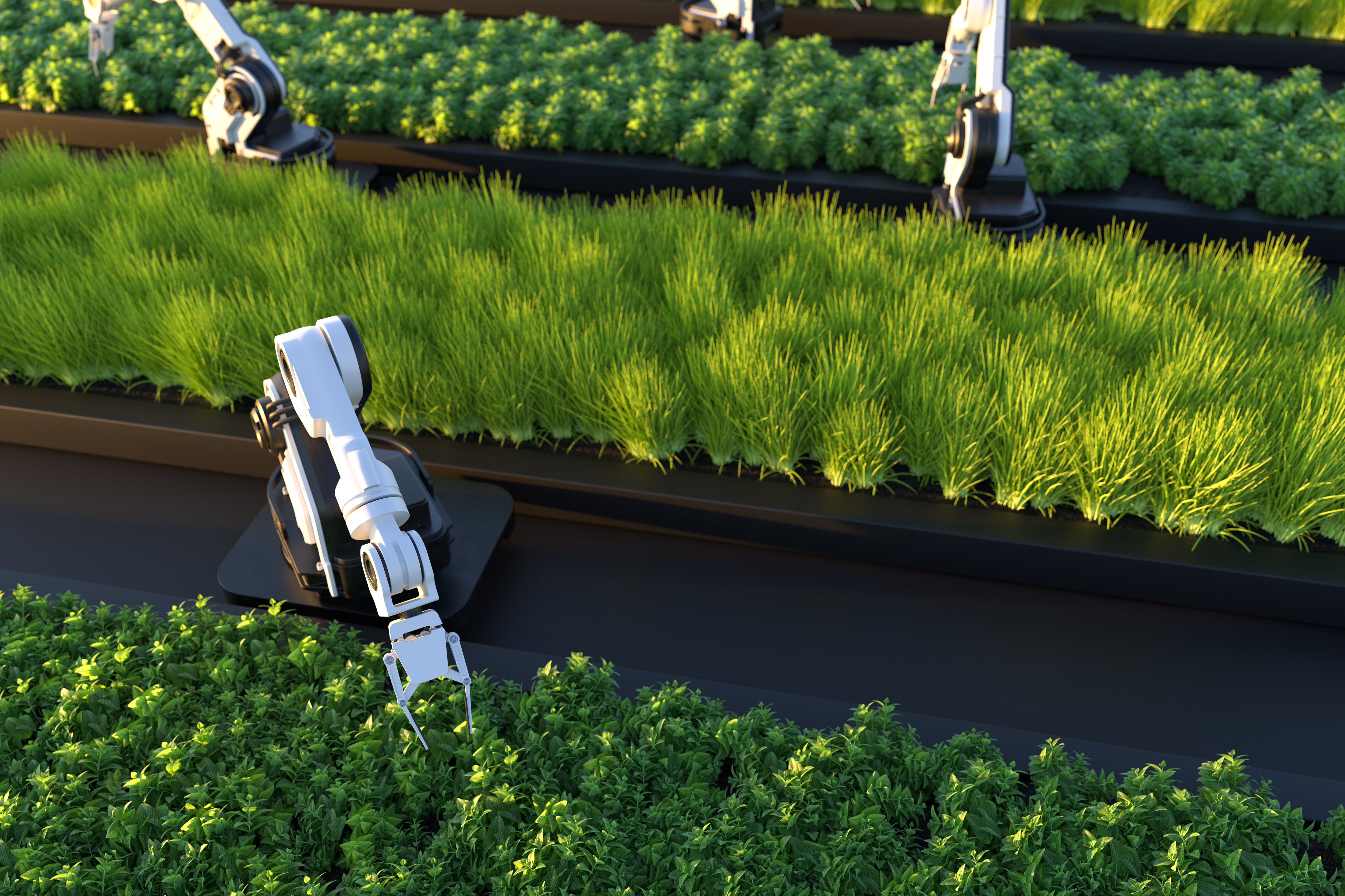 Agriculture Autonomous Robots Market Revolutionizing Farming In The